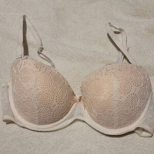 Daisy Fuentes Bra